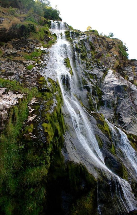 Гостьовий будинок The Nook County Дублін Екстер'єр фото